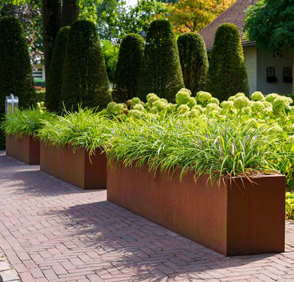 Top 5 planten voor in een grote plantenbak
