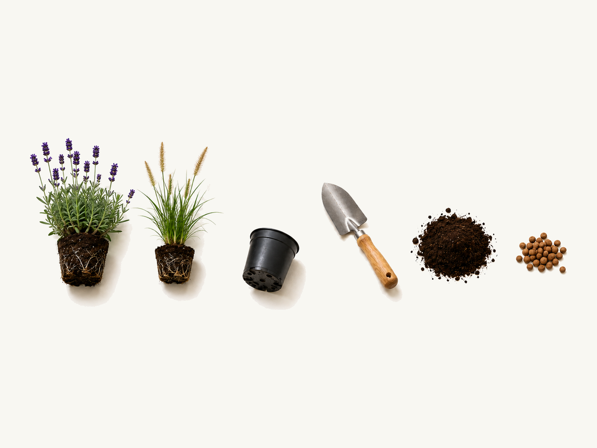 Winterharde planten, kweekpot, plantschep, potgrond en hydrokorrels klaar om in september te planten