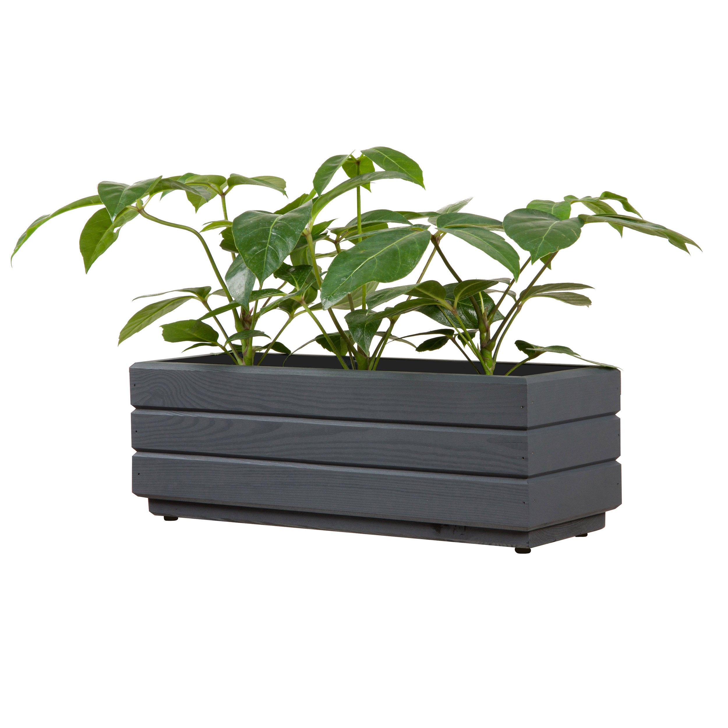 Plantenbak 50x17x17 cm – balkon & tuin