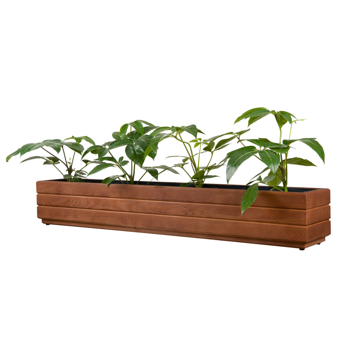 Houten plantenbak balkon 110 cm walnoot met rustige groene beplanting op witte achtergrond 