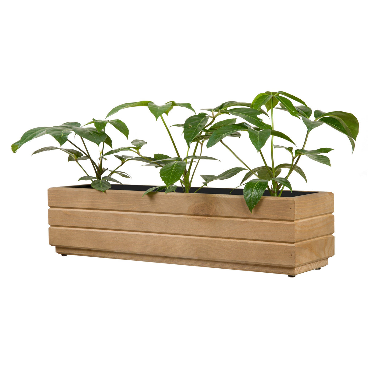 Houten balkonplantenbak 70 cm light oak met rustige groene beplanting op witte achtergrond 