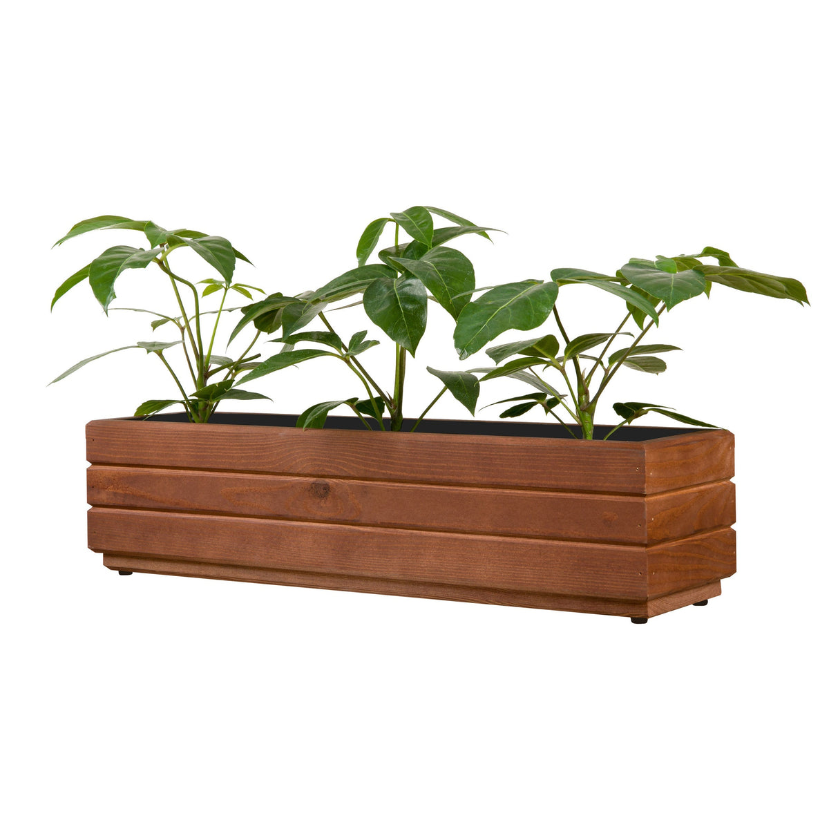 Houten balkonplantenbak 70 cm walnoot met rustige groene beplanting op witte achtergrond 