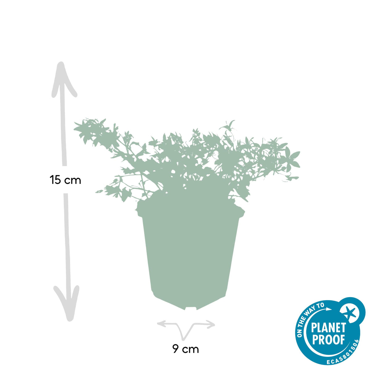 Kruipklokje 'Stella' - set van 6 – voor tuin & terras