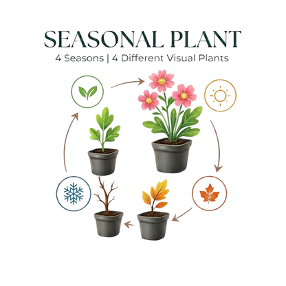 Kruiptijm 'Albiflorus' - set van 6 – voor tuin & terras