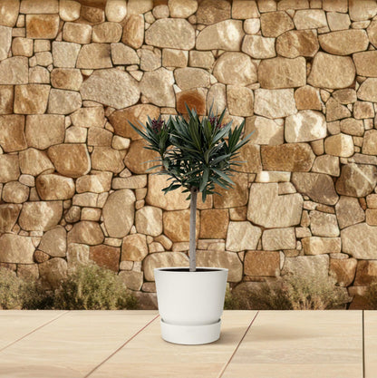 Oleander op stam, rood - 90 cm