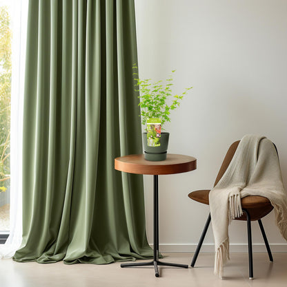 Japanse esdoorn 'Going Green' - 50 cm